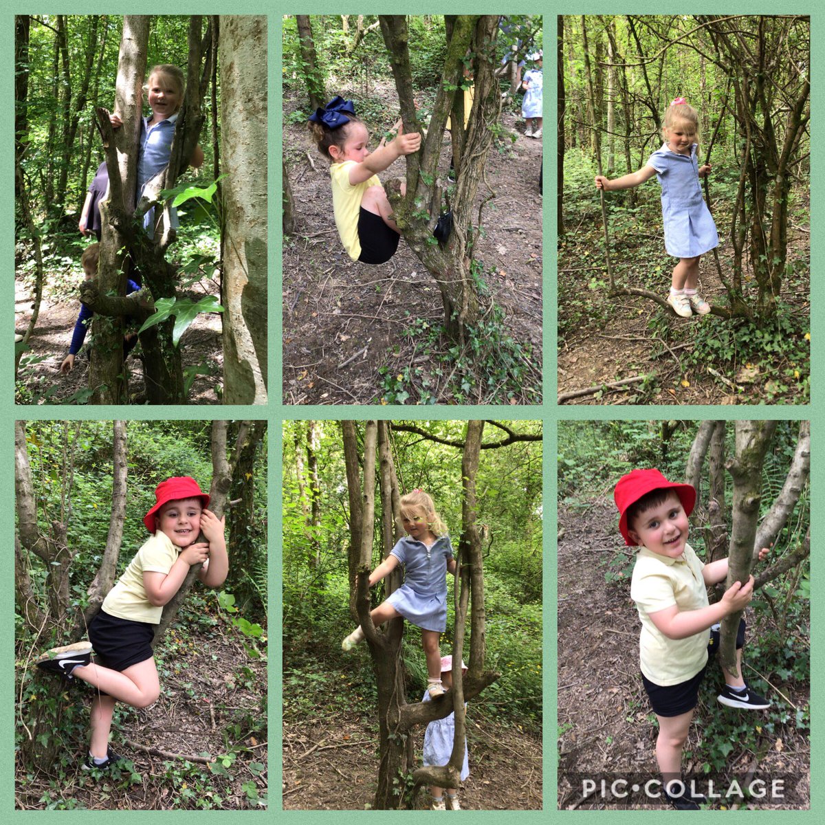 Carolin63261632's tweet photo. A lovely climbing afternoon in the forest. Great confident and competent climbing. Part 2/2 #healthyconfidentindividuals #ambitiouscapablelearners @cwmffrwdoer @SnookMrs @KT_Matthews https://t.co/QZPS1hpkxP