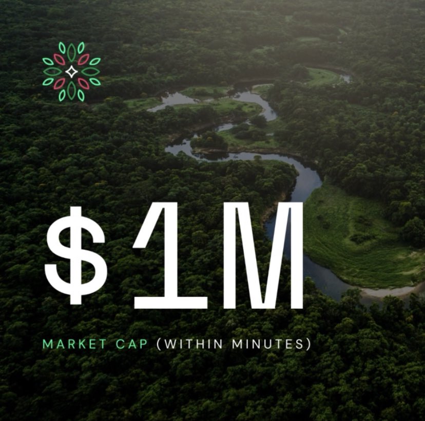 Safeforest2021's tweet photo. ⏳ Highlights of what we achieved within MINUTES:
🕑1 million dollar marketcap under 5 minutes
🕒All time high averaging 1.4 million dollars under 15 minutes
📈 Now think of what we will achieve within months to years
WE ARE HERE FOR THE LONG HAUL
🌲🚀🌙
#safeforest https://t.co/AJsiPuYF3v
