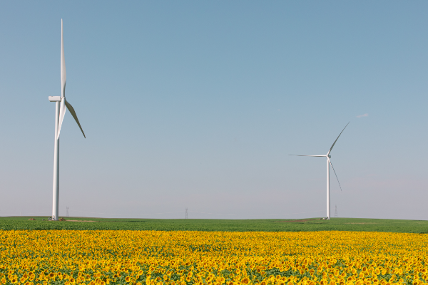 sustainableBU's tweet photo. Happy Global Wind Day! @BU_Tweets is proud to #ActwithENGIE. Learn how a newly built renewable energy project with @ENGIENorthAm is enabling BU to reduce our carbon emissions by 53%. #BUClimateAction #BUWind #GlobalWindDay https://t.co/PAInuwxJkf https://t.co/ys7VrP1n5Q