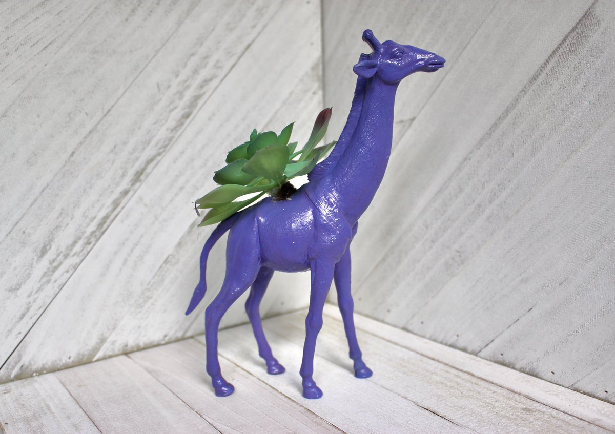 RepurposedT's tweet image. Cute new purple giraffe planters!! Just in time for summer!  #giraffe #animals #planters #succulent #homedecor #fun #quirky #deskplant #gifts #etsy #purple #art #handmade #unqiue #planters #pot #flowers etsy.com/listing/102263…