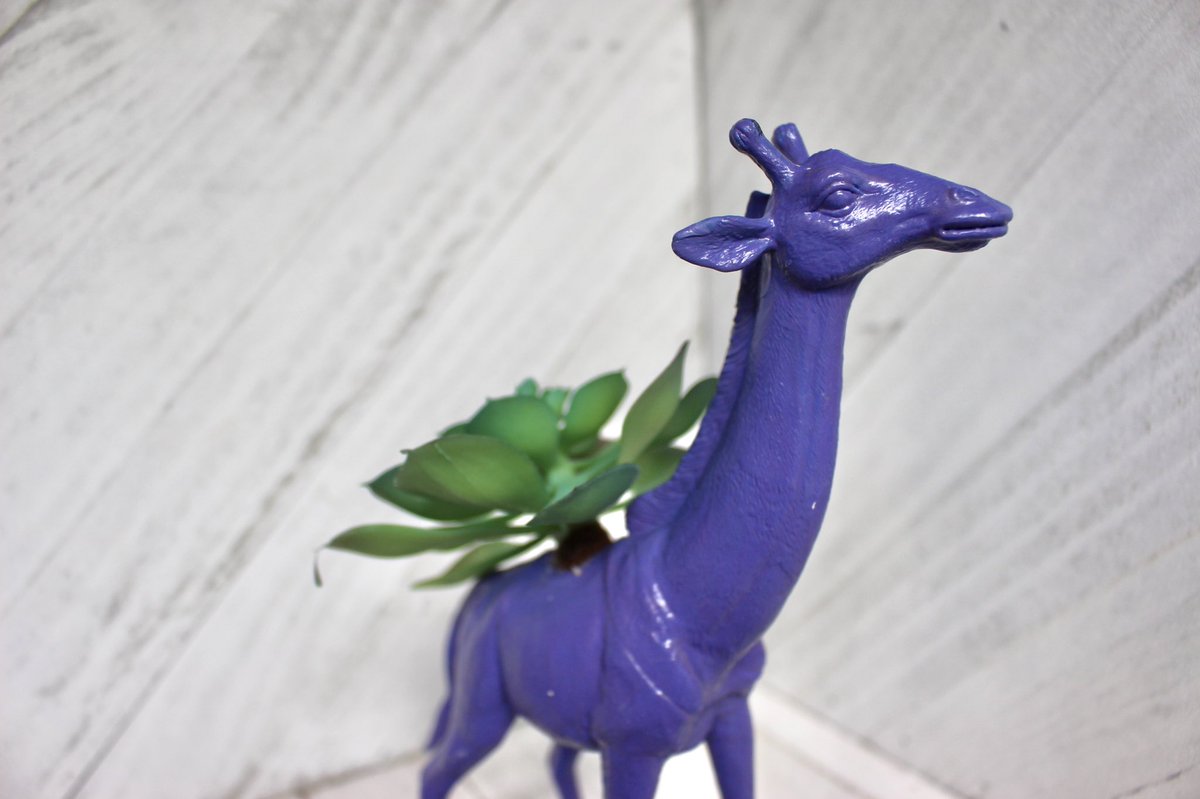 RepurposedT's tweet image. Cute new purple giraffe planters!! Just in time for summer!  #giraffe #animals #planters #succulent #homedecor #fun #quirky #deskplant #gifts #etsy #purple #art #handmade #unqiue #planters #pot #flowers etsy.com/listing/102263…