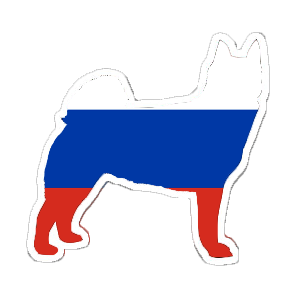 добро пожаловать в нашу нацию bunhundcoin
As part of our marketing strategy we use some youtube channels to promote Buhundcoin project in every country ,this time we partner with JULI COLD from Russia to let russian community  discover our amazing project youtube.com/watch?v=UGDi6-…