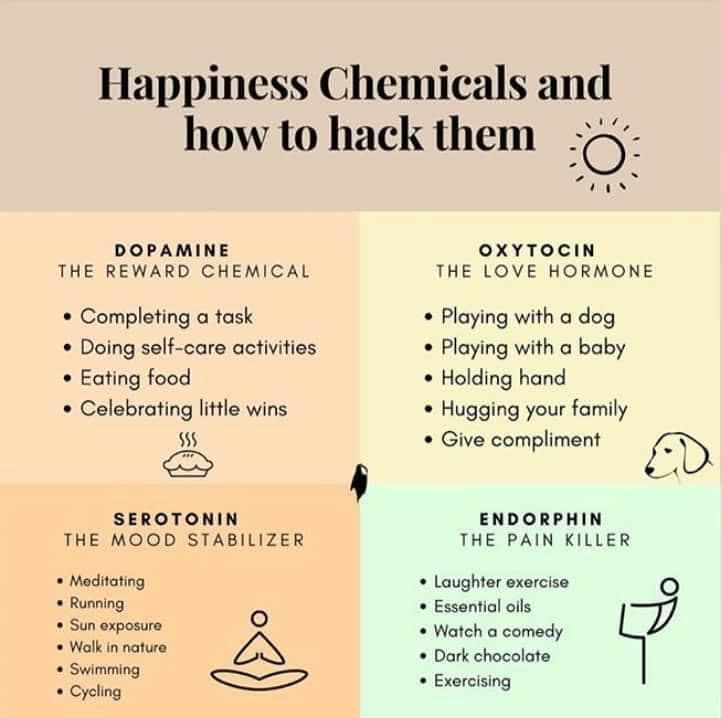 Dopamine, serotonin, oxytocin and endorphins are the four primary chemicals in the brain that effect our happiness. These chemicals are naturally activated by various smells, activities and experiences.

This week, practice hacking these happiness chemicals! #TimeInTuesday