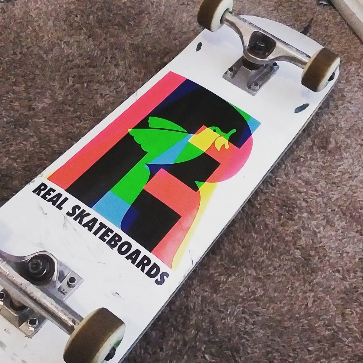 anthony_eiler's tweet image. New setup #boneswheels #thundertrucks @realskateboards #mobgrip #wheelbite #skatelife