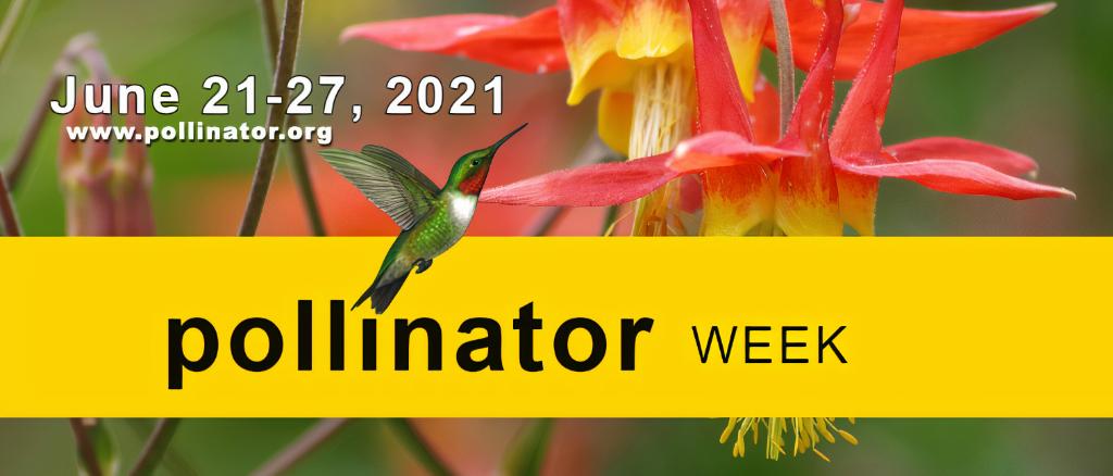 The 2nd annual Pollinator Power Party, hosted by @EPRInews &amp; <a href="/Pollinators/">Pollinator Partnership</a>, begins next week! Check out events, including our own Breakout Session discussion on Thursday. #PowerInPollinators epri.com/about/media-re…
