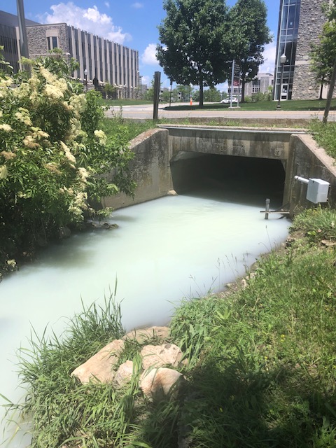 LEWASLab tweet media