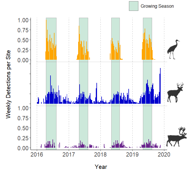 Camera traps monitor more than just wildlife! In our new paper, we quantified 4 yrs of veg phenology + productivity in different boreal habitat conditions, and then linked them to the activity of 3 wildlife species also detected on cameras 📸❄️🌿🦌 (1/n)

bit.ly/3cJCMdC