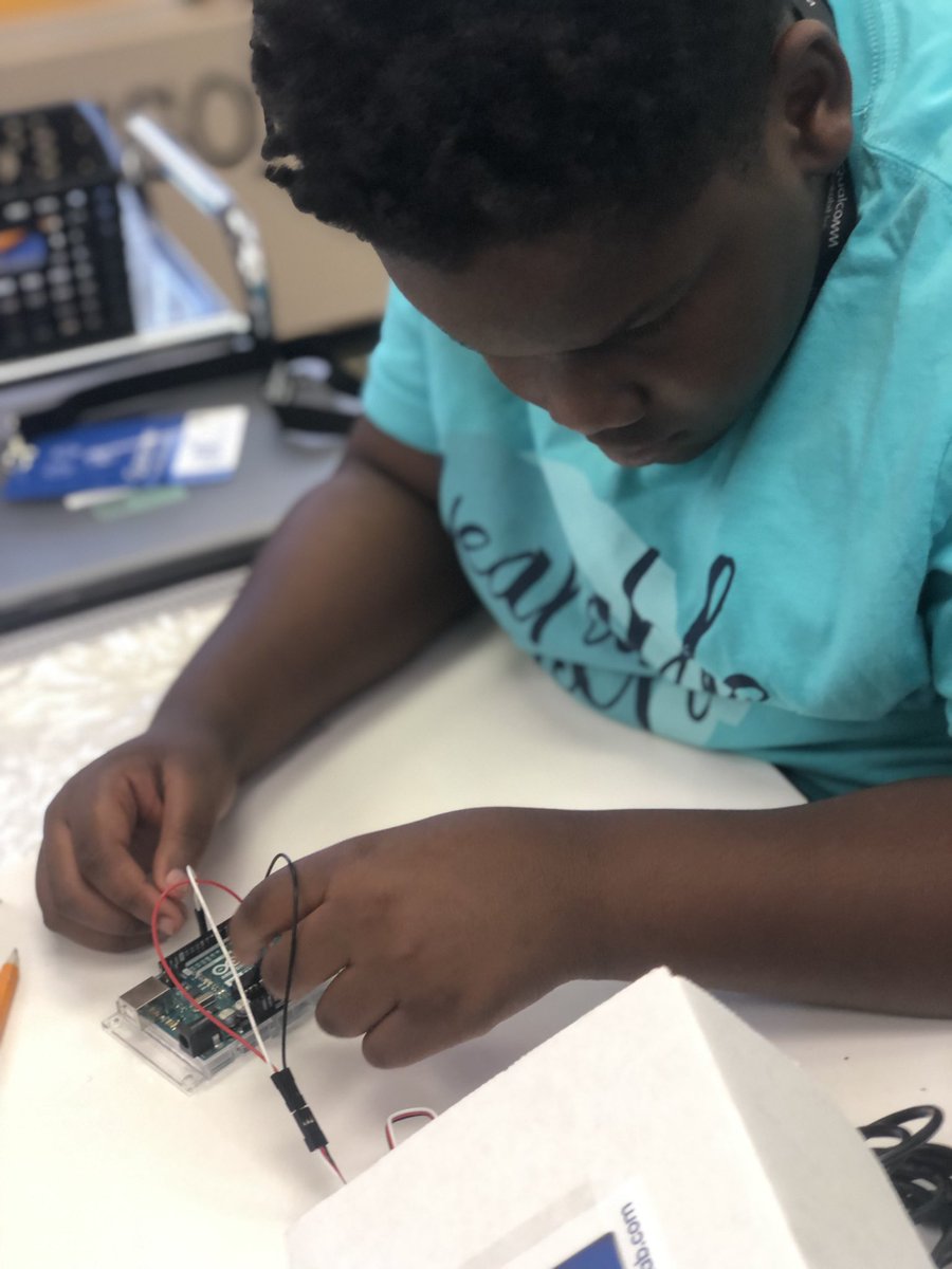 Hollie Williams tweet media