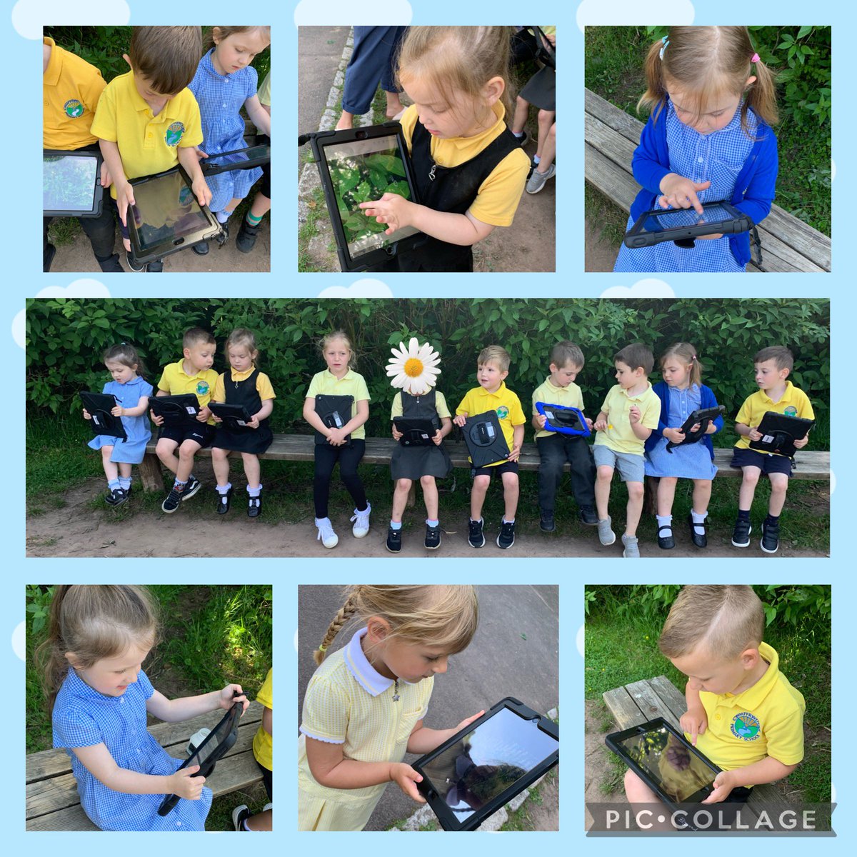 Today was nature photography day 📷 we each took photographs of our favourite things in nature. We will print them and create a beautiful display 🥰 part 1 - am  <a href="/cwmffrwdoer/">Cwmffrwdoer Primary</a> <a href="/SnookMrs/">Mrs Snook</a> <a href="/KT_Matthews/">Katy Matthews</a> #30DaysWild #outdoorlearning