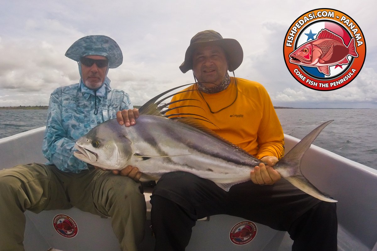 SamTheBigFish's tweet photo. Steve and Greg from the USA fished with us on Sunday and caught this stunning Roosterfish! Cock-a-doodle-doo! #fishpedasi https://t.co/g24weJ3FSL
