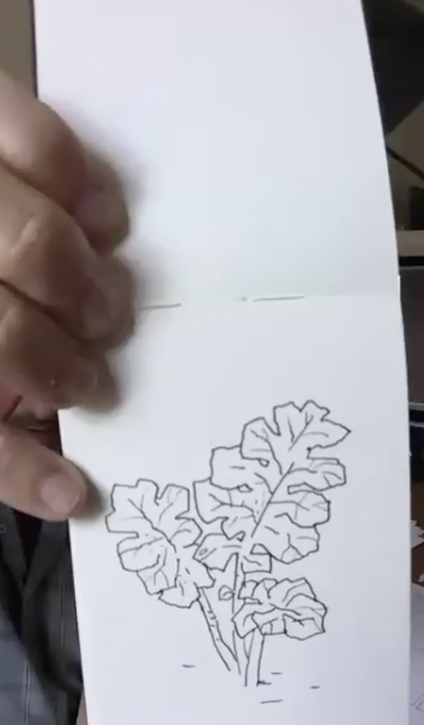 DandQ's tweet photo. Guy's showing us sketches from his travels! Live on our Insta, launching FACTORY SUMMERS https://t.co/5MDWRt7WHy #guydelisle #factorysummers #instagramlive #athomewithdq #instoresnow https://t.co/oSKlhFk75I