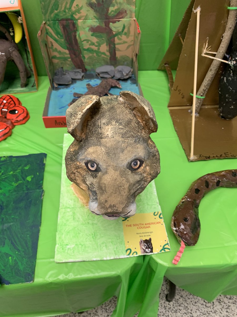 More animals from DLP at GMS! Paper mache research project...