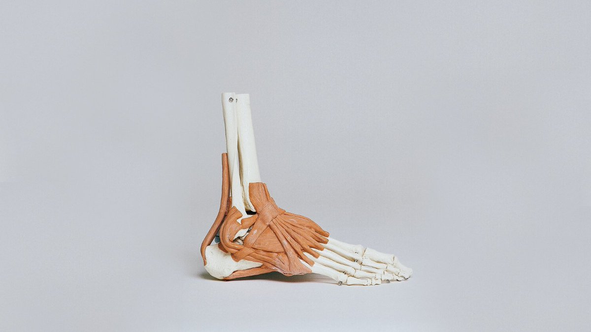 FASMA, LLC tweet media