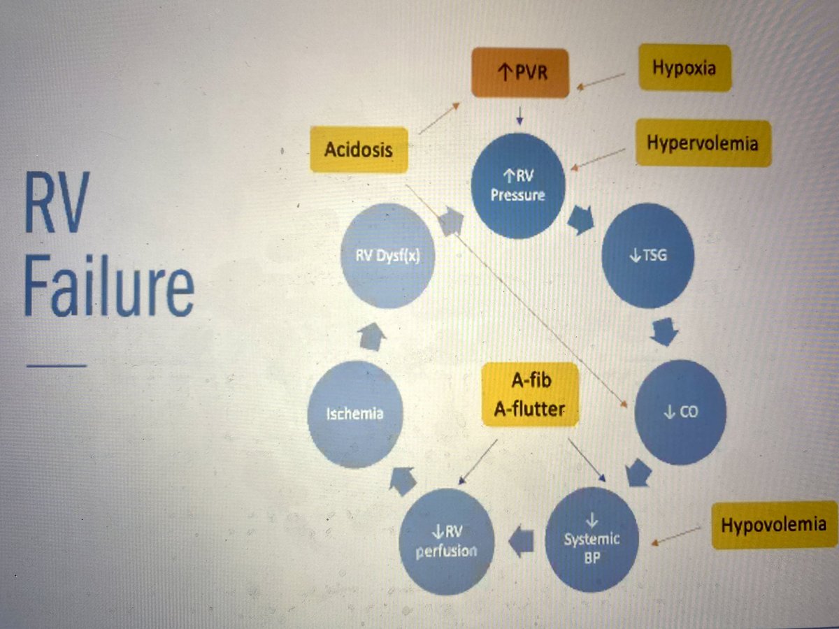 TamaraMcColl's tweet image. Great overview of RV failure with @pegcityMD at @CAEPConference! Beware the viscous failure cycle! 

#CAEP21 #COREEM