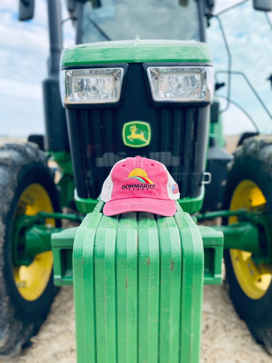 donmarioseeds's tweet photo. DONMARIO is in full steam as we wrap up our 140+ testing locations across the Midsouth, E. Coast, and Midwest! #SeriousAboutSoybeans #plant21 #traitoptions https://t.co/uVsxnKTBGK