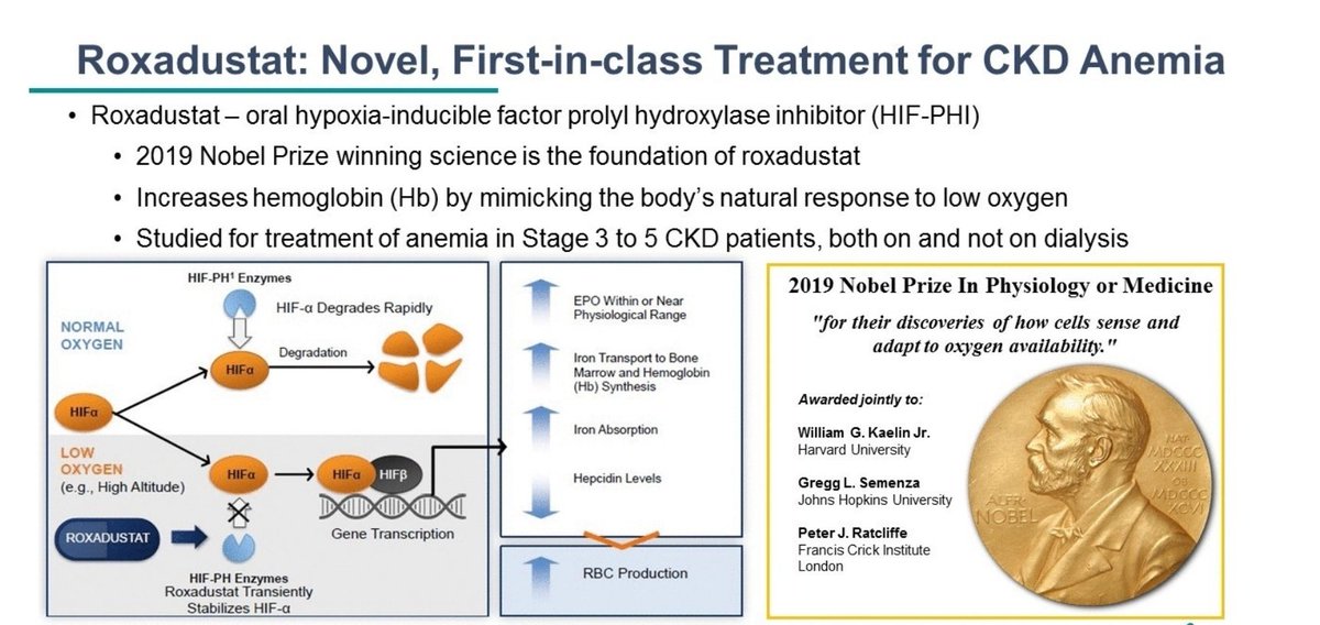 Ken_Nephrology's tweet photo. KEN 10 - HIF STABILIZERS 

#KenMakesNephrologyEasy
#KenEasyNotes
#KENSeries

🏆Nobel prize https://t.co/1ehqI6IknT