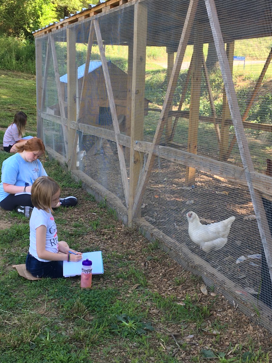 PAGEprograms's tweet photo. PAGE has re-opened its doors this summer with a pop-up #STEM classroom.  Girls are enjoying hands-on plant science inquiry and gardening with our new Heritage Garden #PageLab.  Helping girls become stewards of their Appalachia.  Connecting to past and future. @GrowAppalachia https://t.co/7HKgsKUnDz
