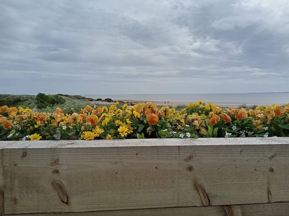 Nice to see this #facility in place in this very lovely part of #Scotland <a href="/AccessWalksSco/">AccessibleWalksScotland🏴󠁧󠁢󠁳󠁣󠁴󠁿</a> <a href="/nature_scot/">Former NatureScot account</a> #beachlife <a href="/SHaRE_Walking/">SHaRE 🚶🏾‍♀️🌳⛰🌲</a> @PathsforAll  <a href="/nature_scot/">Former NatureScot account</a>  #Dornoch