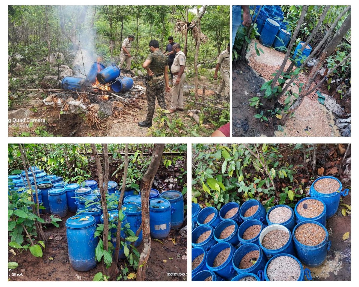 spmayurbhanj's tweet photo. Udala Police along with kaptipada Police staff conducted a joint excise raid on illegal Country Made liquor manufacturing site in Bhutusahi jungle at the border of Udala &amp; Kaptipada PS. 

Destroyed 2000 ltrs. of mohua pocha on the spot. https://t.co/437KMelO3m