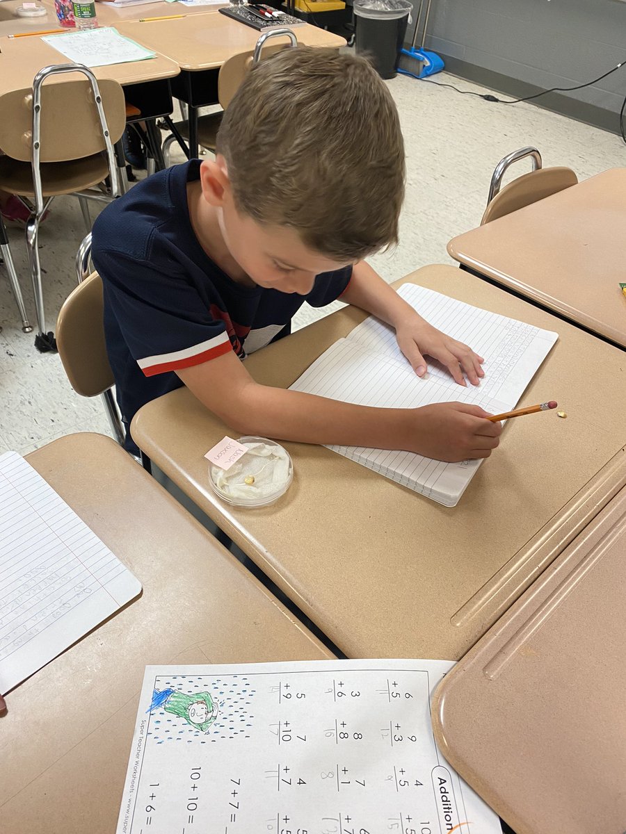 Observing and writing about how our corn seed grew in the dark.  #STEM project #sumnerscholars #jackandersonelementary