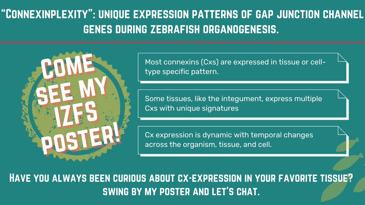 Rachel Lukowicz-Bedford, PhD tweet media