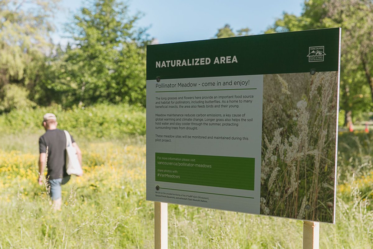 ParkBoard's tweet photo. As part of the #VanPlay Parks and Recreation Services Master Plan, we're piloting 37 hectares of naturalized and wildflower meadows in parks, golf courses, and boulevards throughout Vancouver this year.
Find the location of a pollinator meadow near you at https://t.co/JKOX9xLAFB https://t.co/BeDUBkcZQC