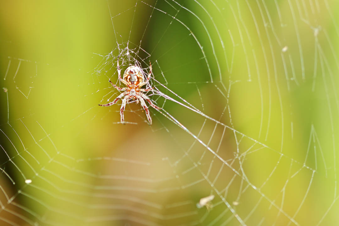 qualitytermite's tweet photo. Your time is valued when you choose us for Termite Treatments, Pest Control, or Rodent Control services. Call us today at (954) 570-1941 for more information! #QualityTermite&amp;PestControl https://t.co/QwHqNCHMf2 https://t.co/6ENQJYSApy