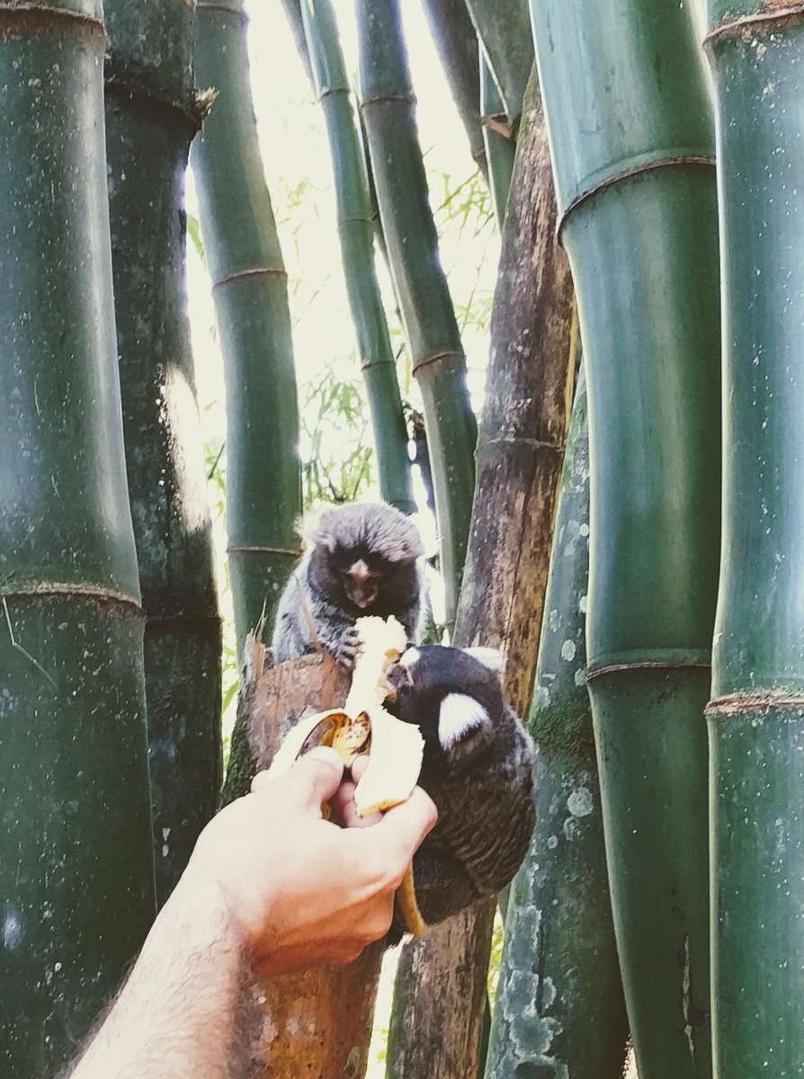 OutsideGameStudio tweet media