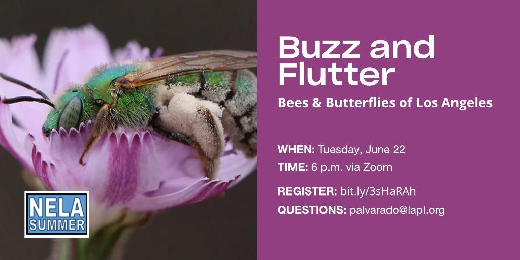 ArroyoSeco5's tweet photo. Caring for the planet means respecting the diversity, importance, &amp; interconnectedness of life. Join us on 6/22 at 6 pm to learn all about the bees &amp; butterflies of LA and the role they play in pollination. 

Register: https://t.co/S9gmb9dlWx
#LAPL #NELASumer #NELA https://t.co/aurbnhrgTh