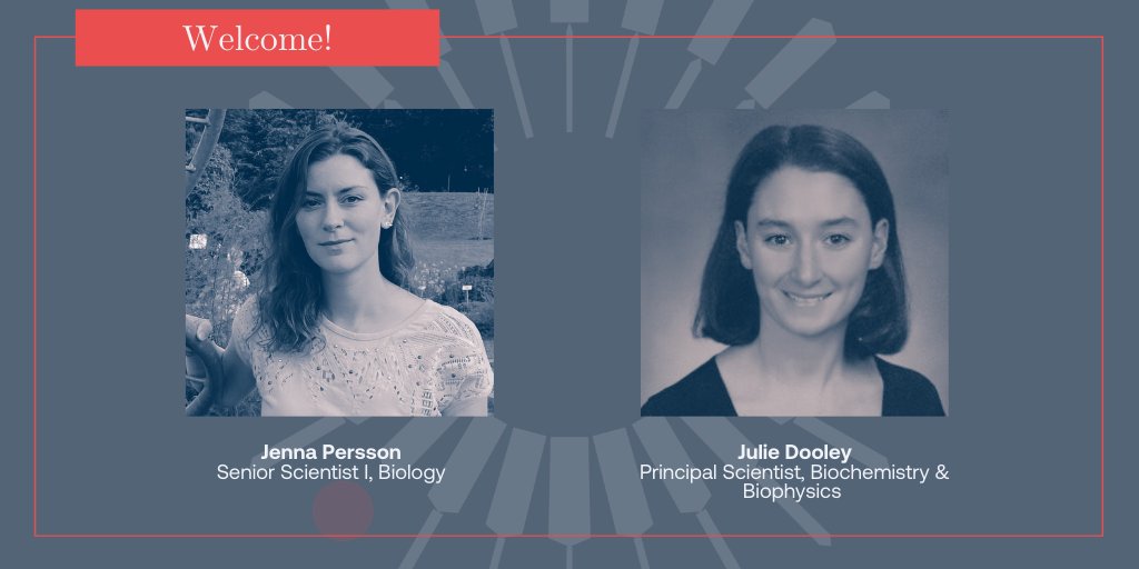 moma_tx's tweet photo. We are thrilled to welcome two new members, Julia Dooley and Jenna Persson, to the MOMA Team! #CollectivelyUnstoppable https://t.co/ZgucardXl8 https://t.co/GaYOv37aiV
