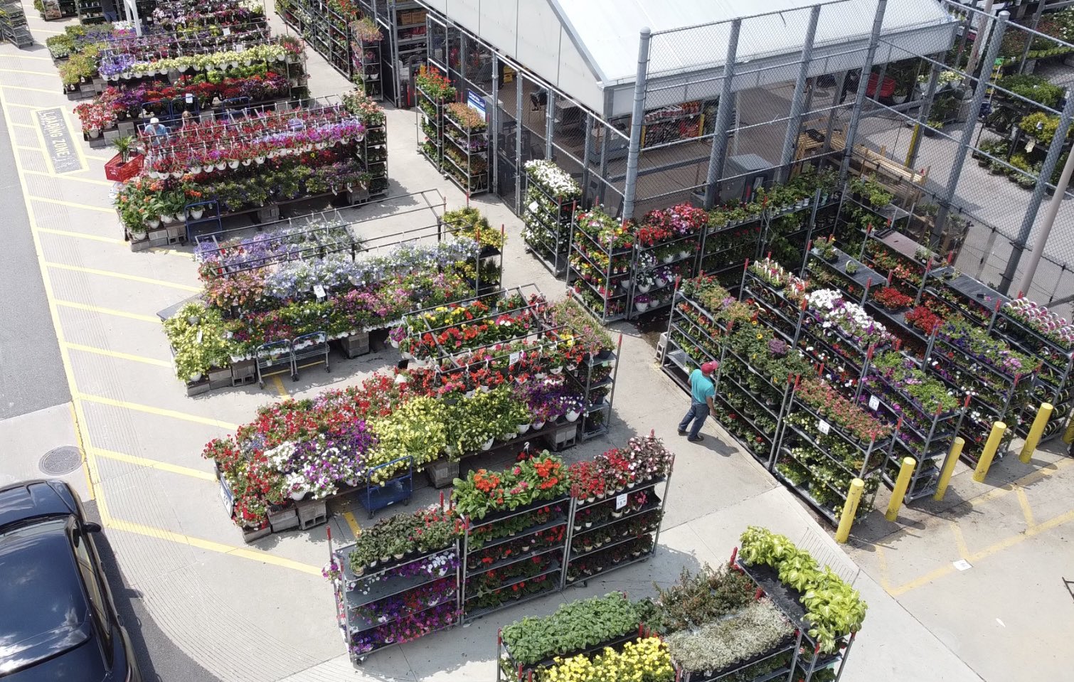 CK Greenhouses on Twitter "1624 Garden City Lowes 🌻🌿 Showing off all