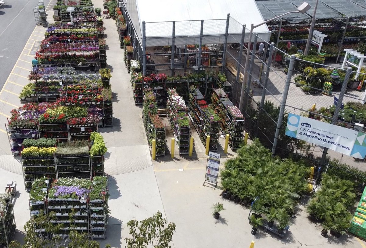 CK Greenhouses on Twitter "1624 Garden City Lowes 🌻🌿 Showing off all