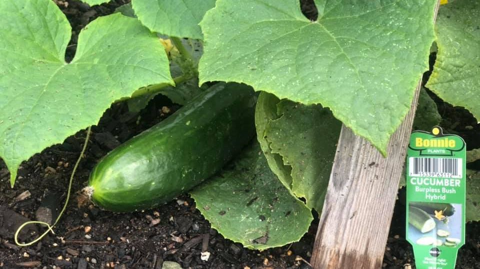 JFCS Atlanta tweet media