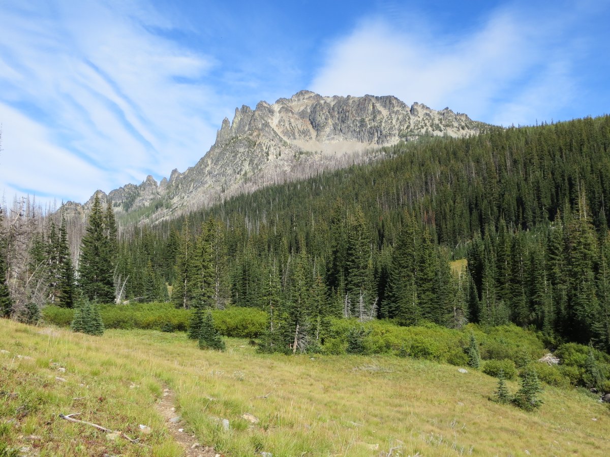 ForestServiceNW's tweet photo. Happy #NaturePhotographyDay! We've got your nature fix needs covered! https://t.co/NdSfowIl3H