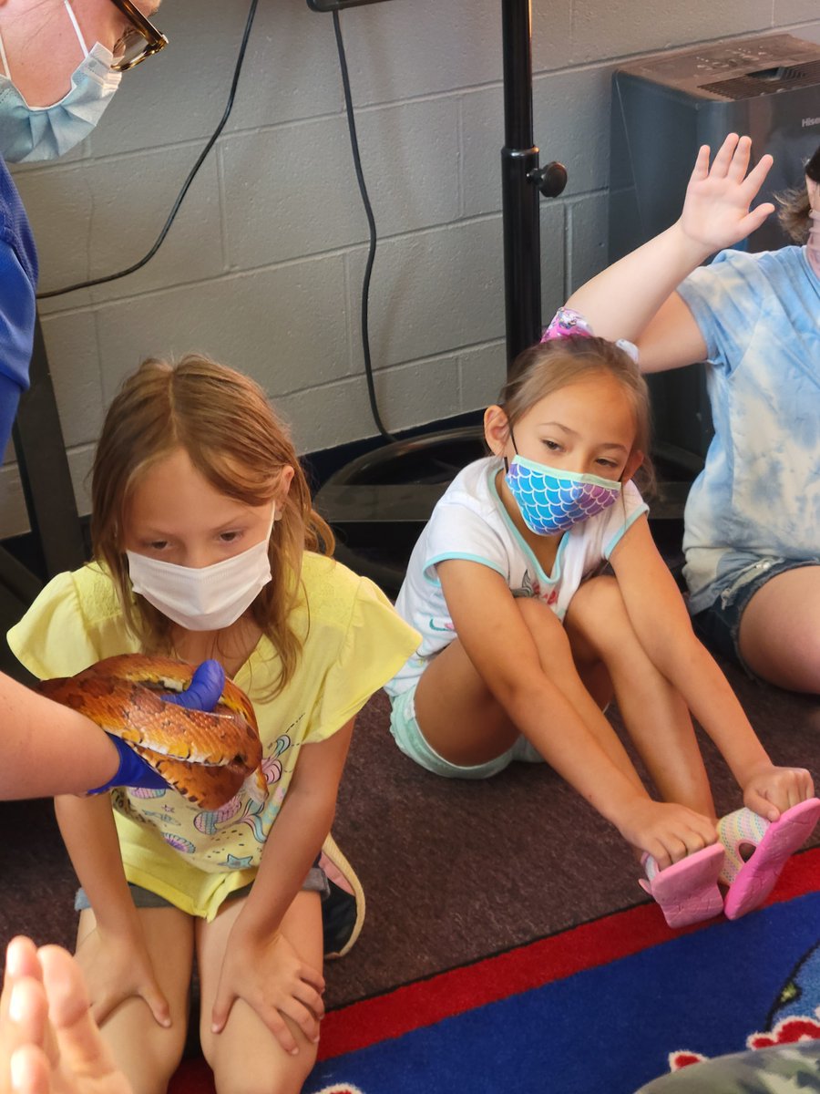 RES_Tigers's tweet photo. Our summer school kids had some visitors today from WNC Nature Center! #wholechild especially during the summer🙂 https://t.co/EllDaLrjR4