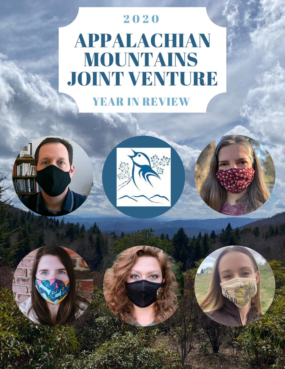 AppMountainsJV's tweet photo. 🎉 Our 2020 AMJV Year in Review is available! 🥳

Follow the link below to read about all of the great work that our wonderful partners completed throughout the Appalachian Region and internationally in 2020 despite COVID-19! 🙌👏

https://t.co/7wvSbWg2B6 https://t.co/MUqnh5Lr87