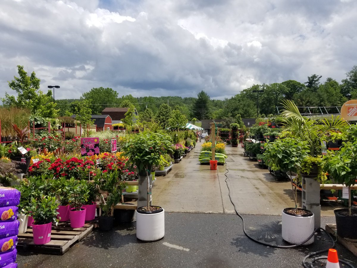 Lynnie B tweet media