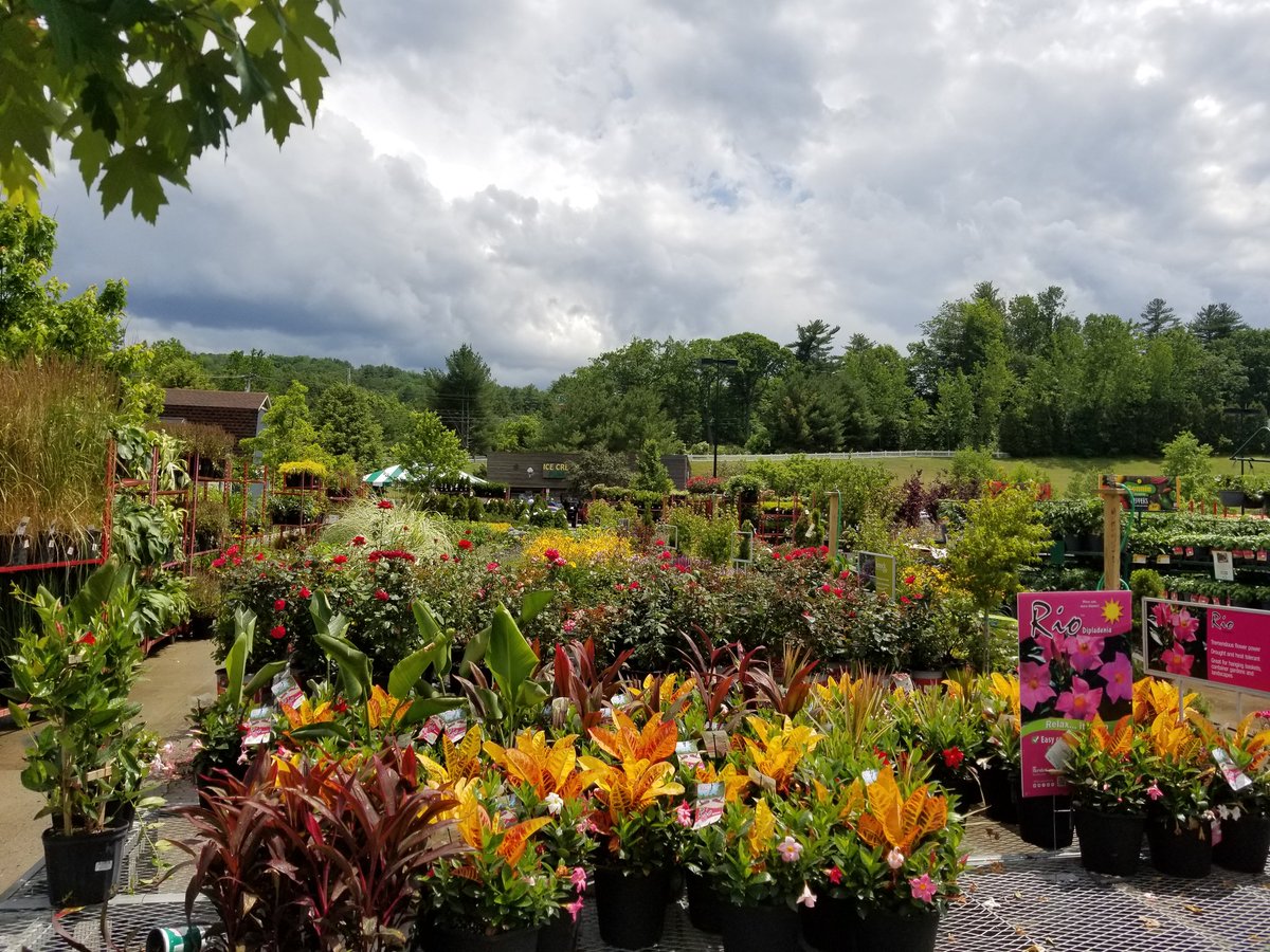 Lynnie B tweet media