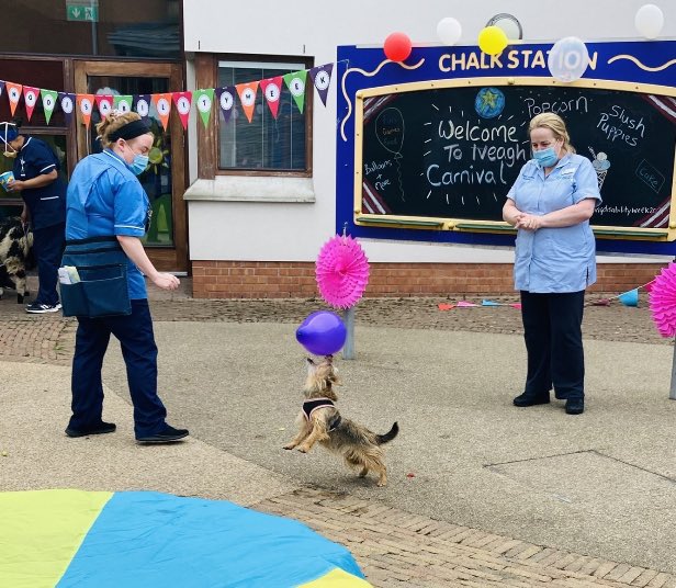 Andrea Conway (@andypandy0023) on Twitter photo The carnival came to town🎟🎠 Fun had by all for Learning Disability week #iveaghcentre #learningdisabilityweek2021 <a href="/BelfastTrust/">Belfast Trust</a> <a href="/clairemck_psych/">Claire McKenna</a> <a href="/SineadDickson2/">Sinead Dickson</a> The carnival came to town🎟🎠 Fun had by all for Learning Disability week #iveaghcentre #learningdisabilityweek2021 <a href="/BelfastTrust/">Belfast Trust</a> <a href="/clairemck_psych/">Claire McKenna</a> <a href="/SineadDickson2/">Sinead Dickson</a>