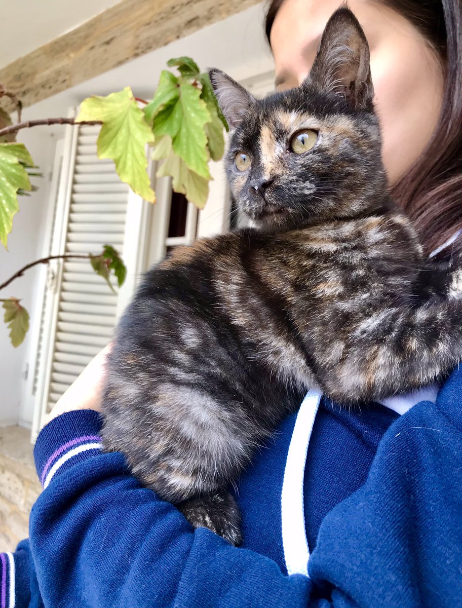 ACABAN DE TIRAR ESTE BEBÉ FRENTE A MI CASA Y NO PODEMOS ENTRARLO
Busco provi o adoptante urgente ‼️‼️‼️‼️‼️‼️
No tiene más de un mes y medio. Es muy bebé para estar en la calle 
3512366163 
Cuento con movilidad🙏🏻