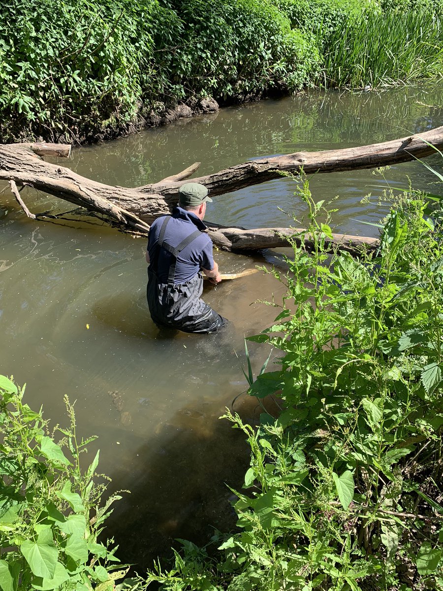 craigcovcity's tweet image. Go go @covparkranger helping the @CommunitySASAP making #stokealdermoor a cleaner place to live  &amp;amp; work @placebasedsocialaction Tubby McBathtub is gone for a jet wash ready for #transformation next week!! 👀 @GrapevineCEO #weatesocialaction