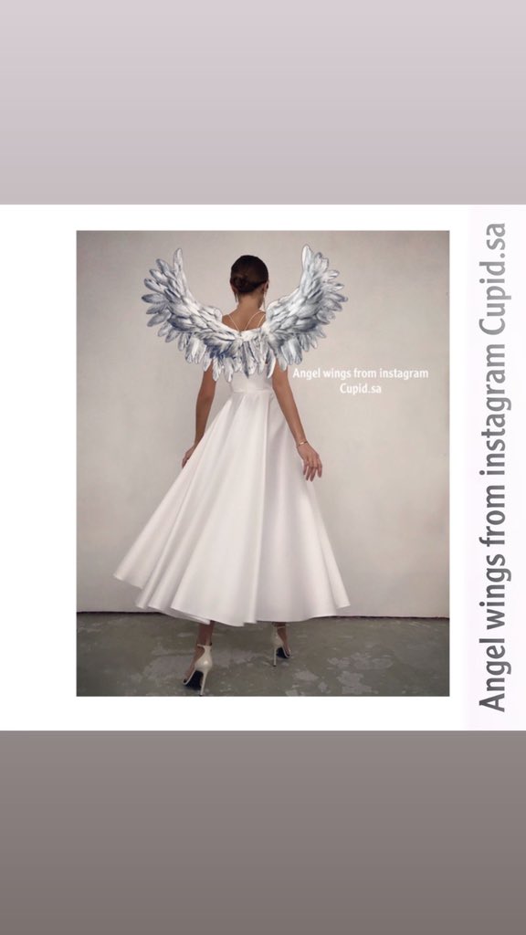 cupidsaa's tweet image. Silver angel wings 🏹
