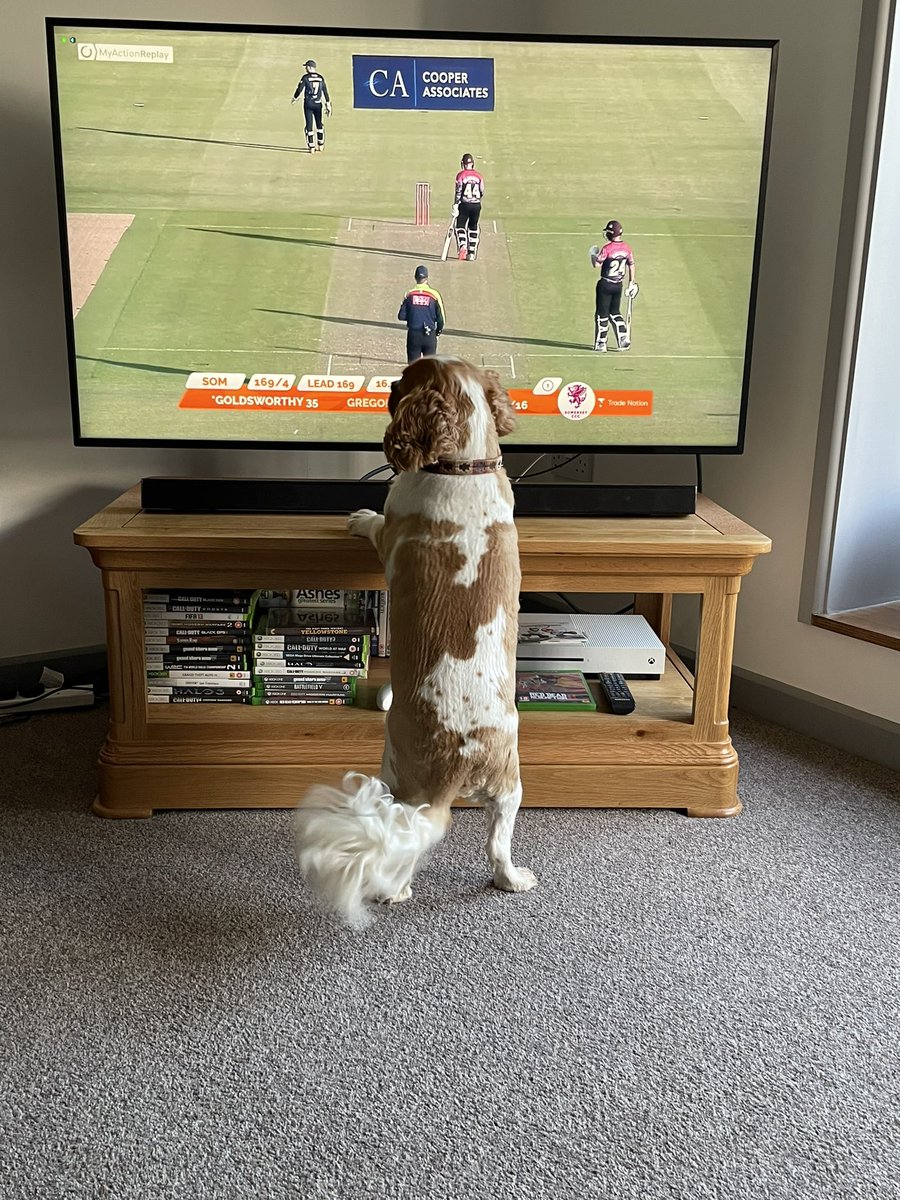 pedro_jones85's tweet image. Checking the score! #streaminstyle @ItsTradeNation