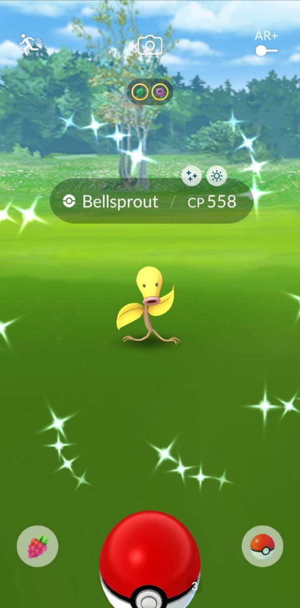 マダツボミ Hashtag Posts And Instagram Pictures And Videos Offerdos Com