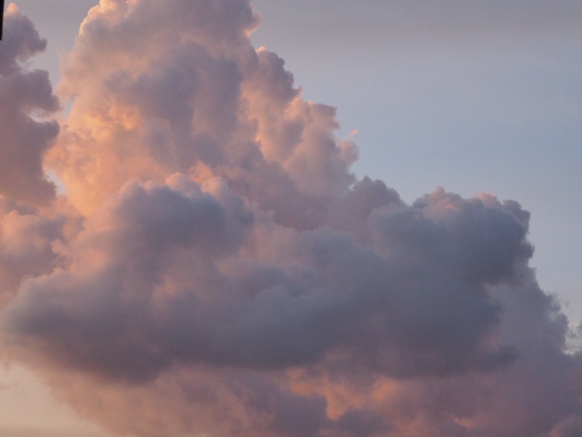 noond🥨 tweet media