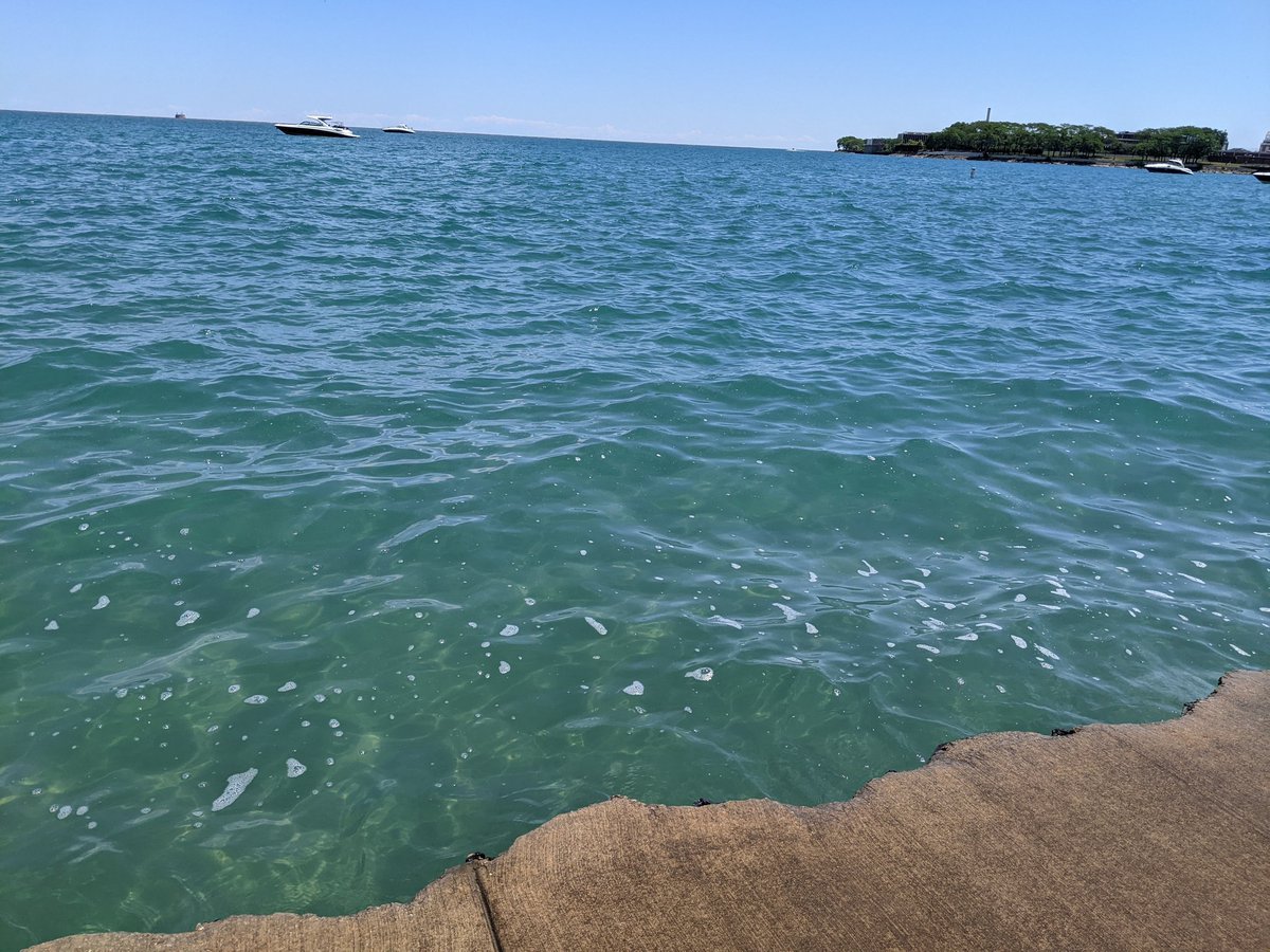 jhjones's tweet image. A  #ChicagoHotdog is a party in a #poppyseedbun. #sportpeppertuesday with @mojo_la @BridgeMojo on #day11 #2021Roadtrip..Leaving @chicago , #LakeMichigan, my birthplace for #NewEngland and points East and South in the morning.