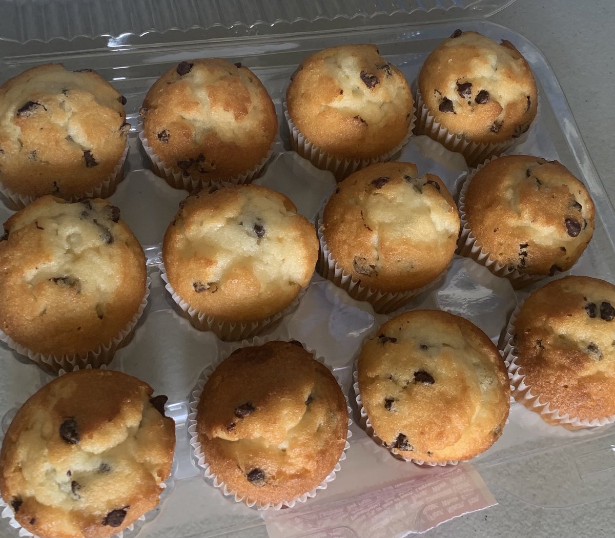 Jamie Shigeta tweet media