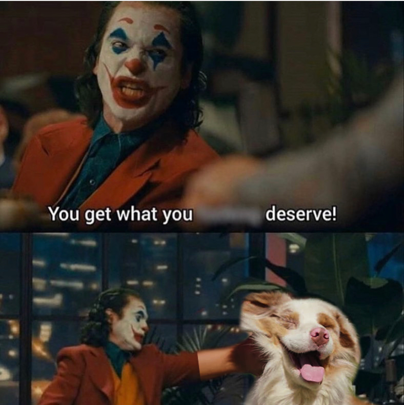 AssButt69420's tweet photo. Sorry not sorry for all of the retweets one after the other. Call me crazy, I'd say I just have a passion for $ASS #ASS #AustralianSafeShepherd @assfinance https://t.co/DC3D5R6Eg3