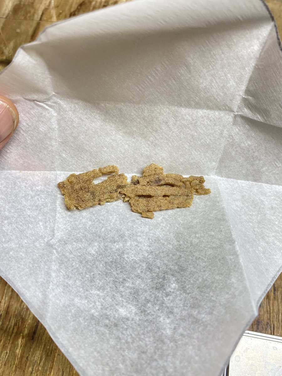 SeedsBc's tweet photo. Sweet Skunk x C99, crossed again with C99.           Tall, two of those are topped. Frosty, makes for a good melt. Taking requests for a free mail-out. Must be Canadian, of legal age, with some pro Craft Cannabis and/or anti-racist/anti-fascist in your tweeting. https://t.co/MPUtWKZqhi