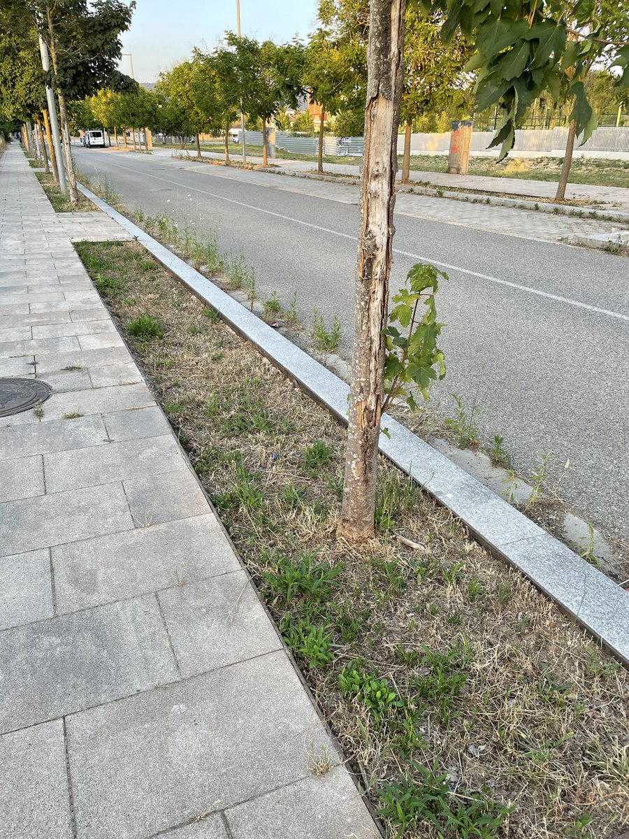 Girona + Neta tweet media